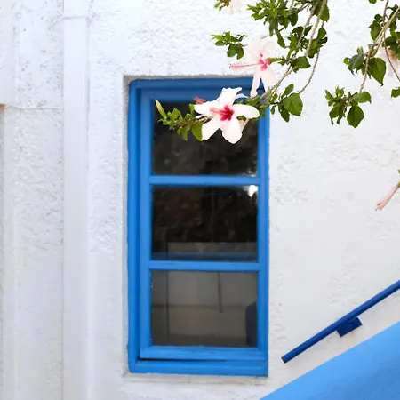 Andromeda Agia Galini